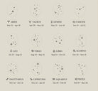 Engraved Zodiac Constellation Necklace, Personalised Zodiac Signs Necklace - Octonov 